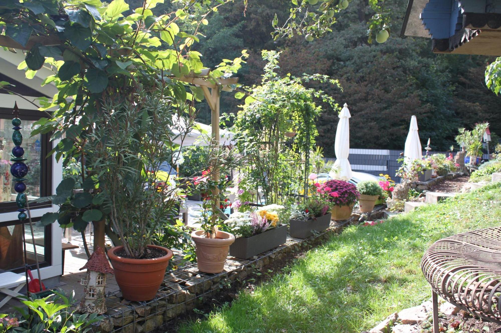 Trechtingshausen Ferienwohnung Im Morgenbachtal מראה חיצוני תמונה