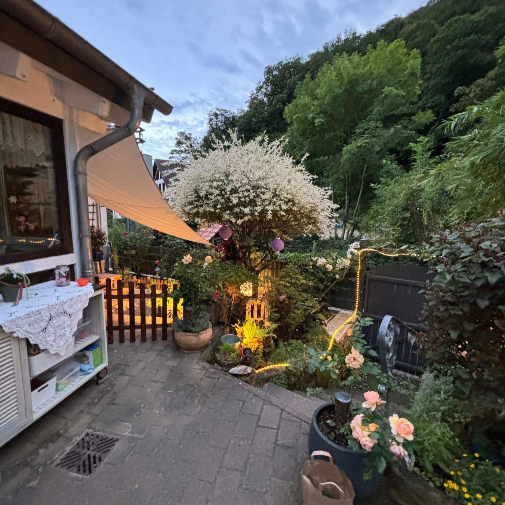 Trechtingshausen Ferienwohnung Im Morgenbachtal מראה חיצוני תמונה