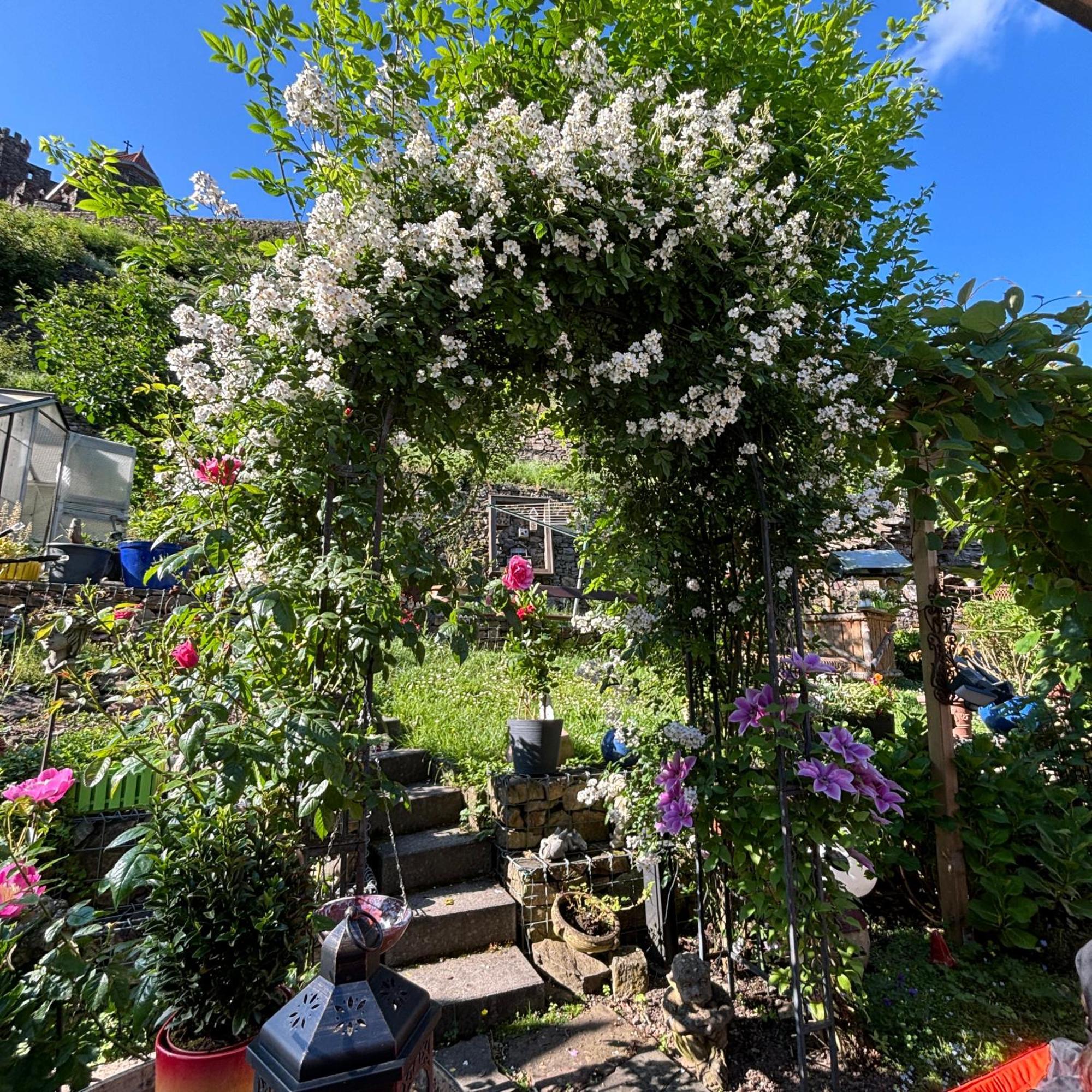 Trechtingshausen Ferienwohnung Im Morgenbachtal מראה חיצוני תמונה