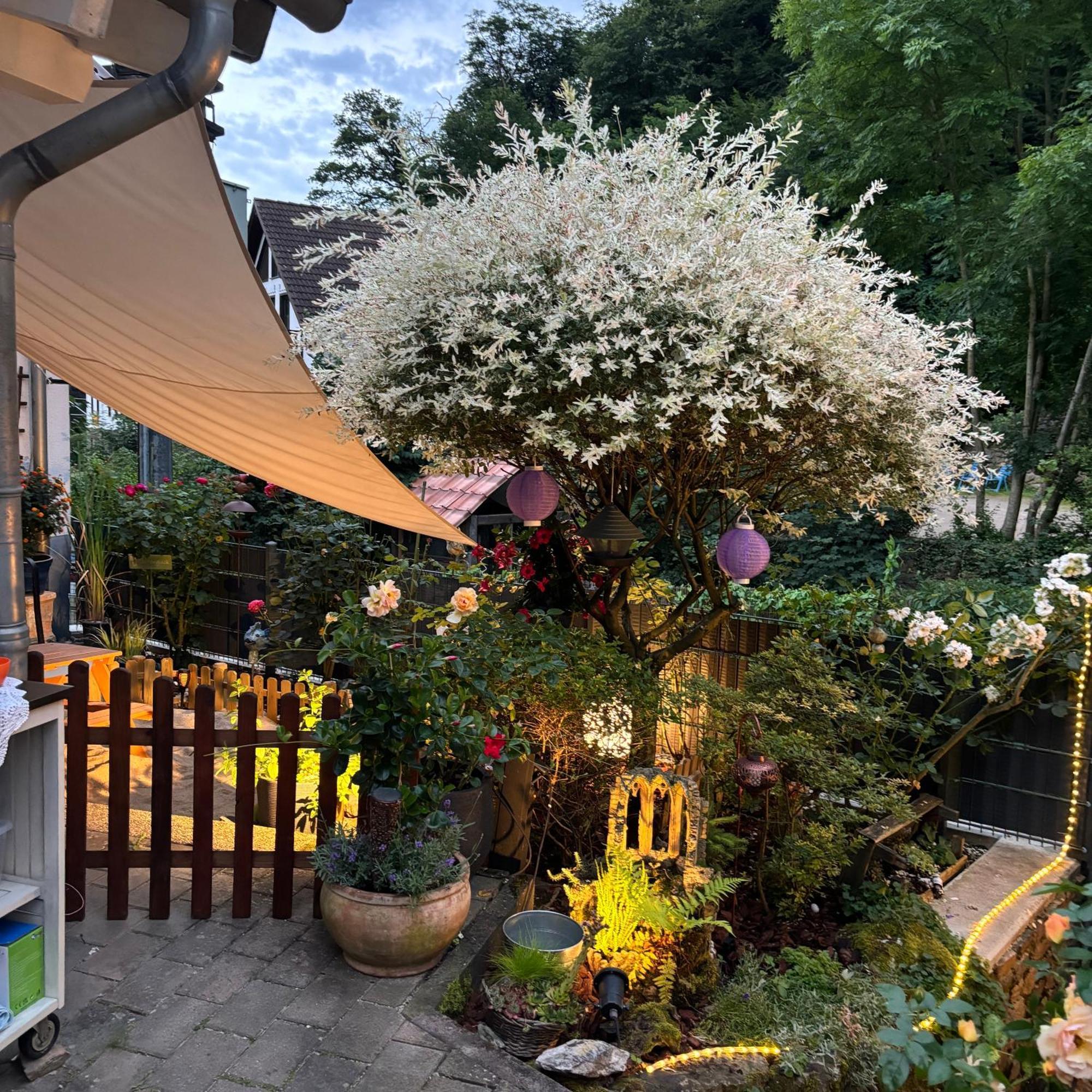 Trechtingshausen Ferienwohnung Im Morgenbachtal מראה חיצוני תמונה