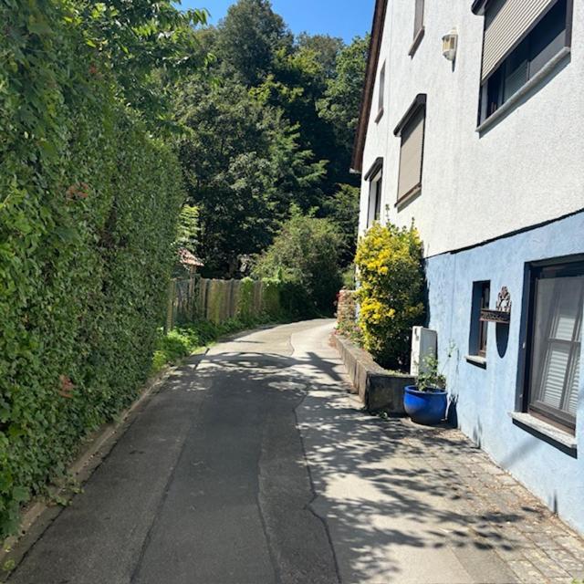 Trechtingshausen Ferienwohnung Im Morgenbachtal מראה חיצוני תמונה