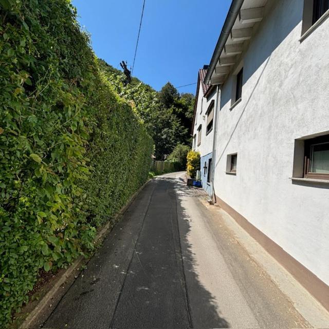 Trechtingshausen Ferienwohnung Im Morgenbachtal מראה חיצוני תמונה
